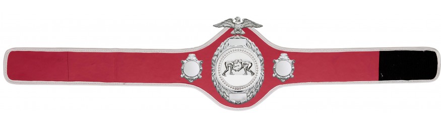 GRAPPLING CHAMPIONSHIP BELT - PRO288/S/GRAPS - 10 COLOURS